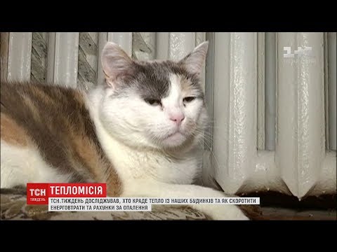Оплата за послугу та нові штрафи: що потрібно знати про новий закон про опалення
