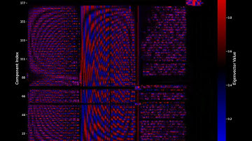Eigendecomposition of human genome connectivity (unsorted eigenvectors)