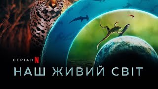 Наш живий світ   Кейт Бланшетт   Український дубльований трейлер   Netflix