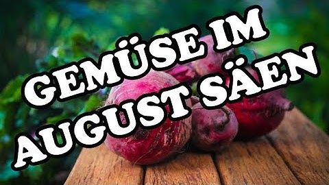 Gemüse im August aussäen Gemüse anbauen für Anfänger Gemüsesorten die iihr im August säen könnt