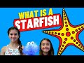 Starfish Learning Quiz