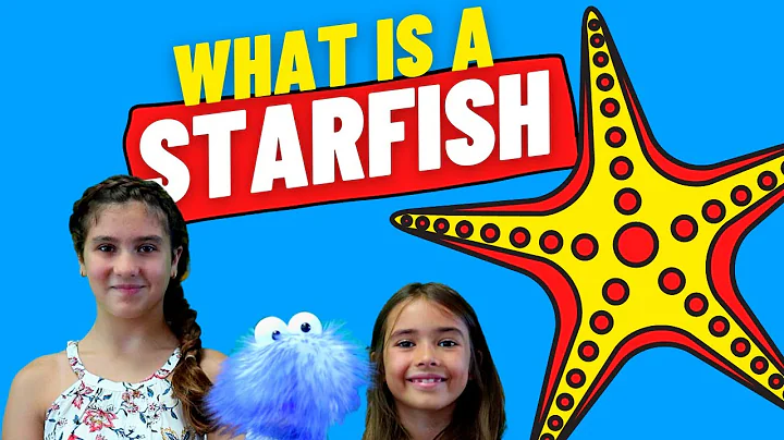 Is A Starfish Really A Fish? | Starfish Facts For Kids