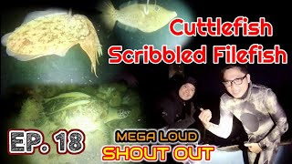 SPEARNIGHT EP. 18 - Cuttlefish and Scribbled Filefish (Nightdive Spearfishing)