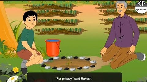 The Cherry tree | English | Class 6