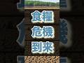 これから手に入らなくなる食品3選