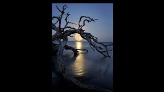 David flees from King Saul Jw Talks: Protect Ourselves from Satan ~ Brother JR Brown