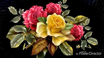 ما تيسر من سورة يوسف 02 من صلاة التهجد للقارئ داود محداب - محاكاة للقارئ ماهر المعيقلي