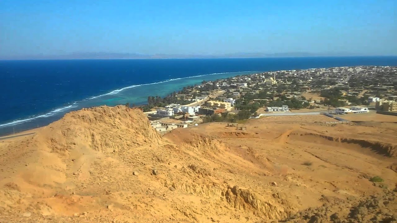 О канале Friends Safari / Welcome post / Intro trailer