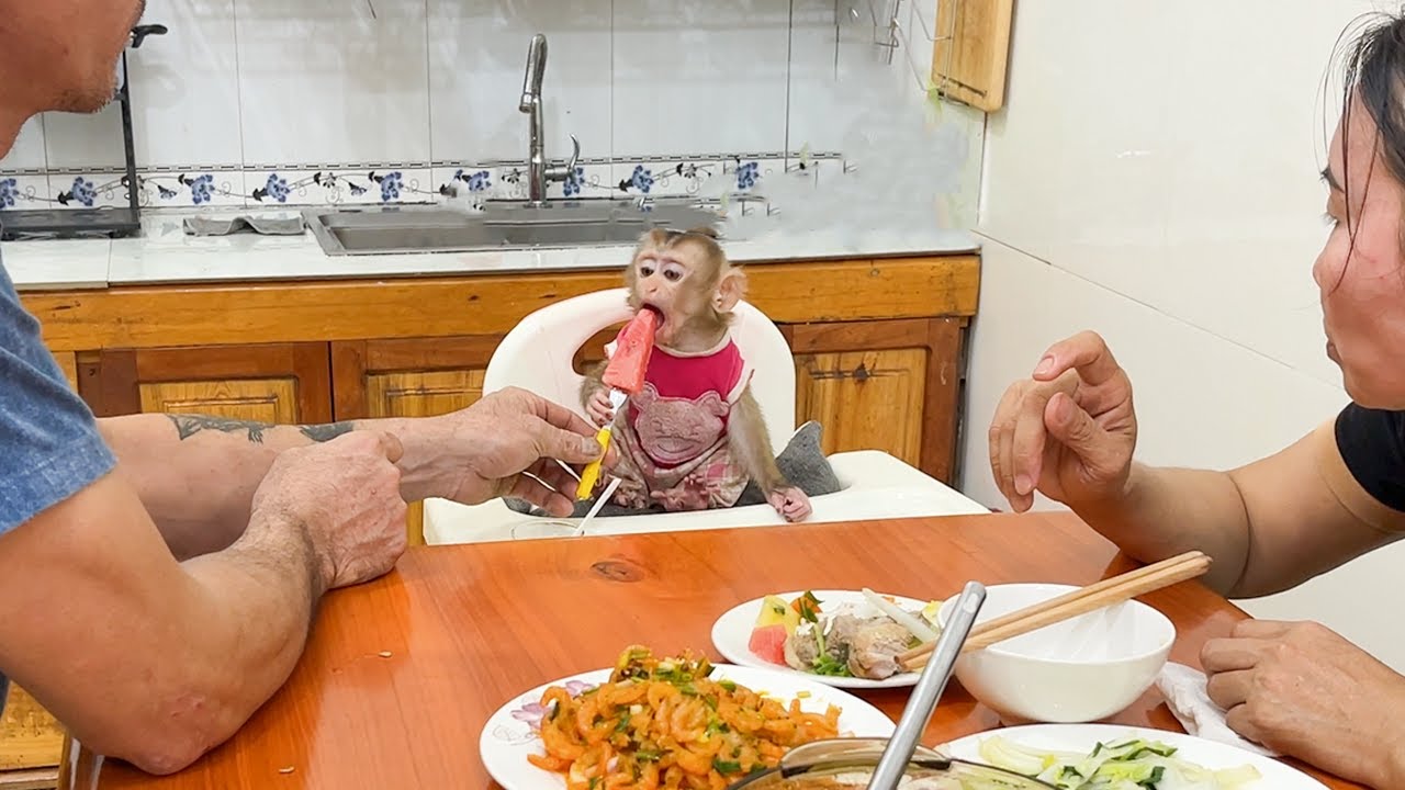 YuYu family returns! A simple but loving meal! - YouTube