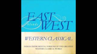 Swan Lake Op. 20 - Scene (Tchaikovsky): Shehnai cover