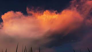 Video buồn tâm trạng screenshot 1