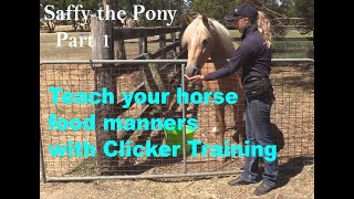 Saffy 1 - How to start clicker training a horse. Teaching food manners & safe hand feeding.