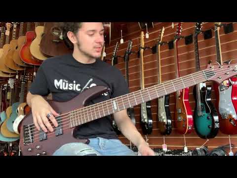 ESP LTD D-6 6 String Bass Playthrough