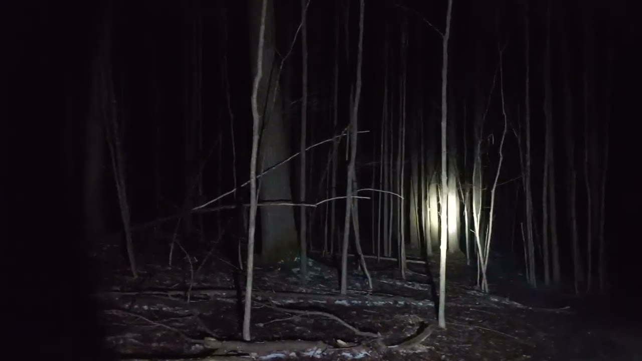 YOU DONT NEED TO GO FAR, BIGFOOT WILL COME TO YOU.READ BELOW