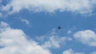 Celebrity F-18 Superhornet barrel roll Net Worth