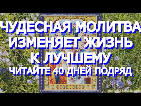 Очень сильная молитва Николаю Чудотворцу, изменяющая жизнь к лучшему. Читайте 40 дней подряд