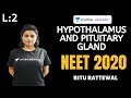 L2: Hypothalamus and Pituitary Gland | Endocrine System | Pre-medical - NEET/AIIMS | NEET 2020