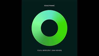 Souldynamic - You'll Never (feat. Dana Weaver) [Zed Bias Remix]