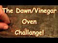DawnVinegar Oven Cleaner Challange