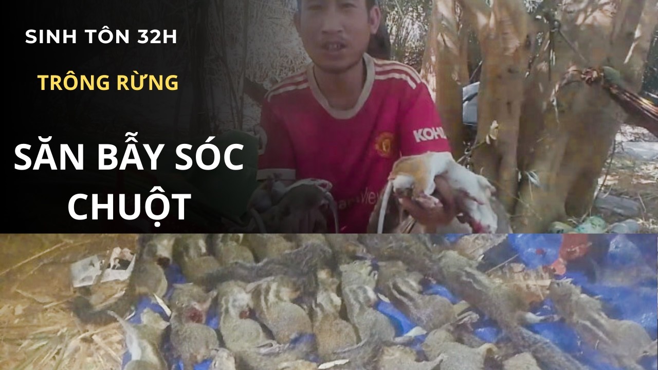 Hai Ngày Ở Trong Rừng Núi Săn Bẫy Sóc Chuột Rừng|Tú vlog