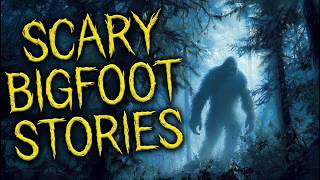 12 Creepy Bigfoot Stories from Remote Forests | Horror Stories