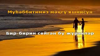 Караоке минус/Karaoke minus Яблоко любви (уйгурская версия)