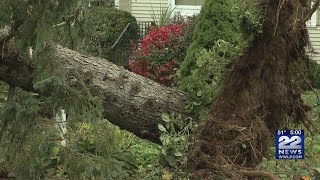 Overnight storm causes significant damage, power outages across western Mass.