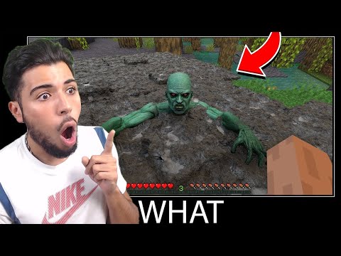 LES BUG RÉALISTE