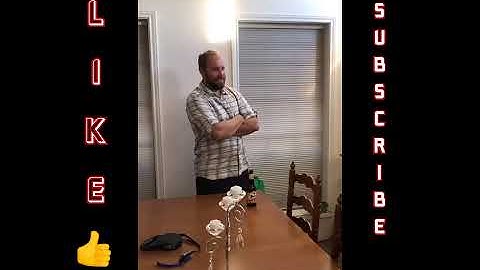 Alexa - We Need Guns Home Automation Setup