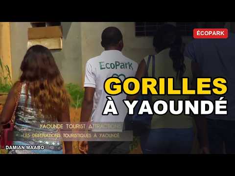 Yaoundé : l'Ecopark et les meilleures destinations de la zone métropolitaine