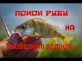 Поиск рыбы на неизвестном водоеме.  Ловля окуня.