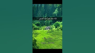 سورة القصص ريان المحيسني الايه ٢٥