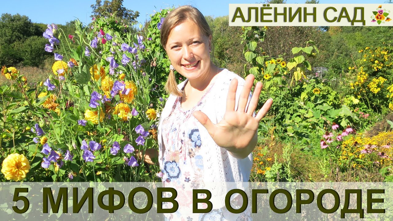 ⁣5 МИФОВ в саду и огороде!