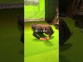 ゴルファーも最低限の胸筋は必要…