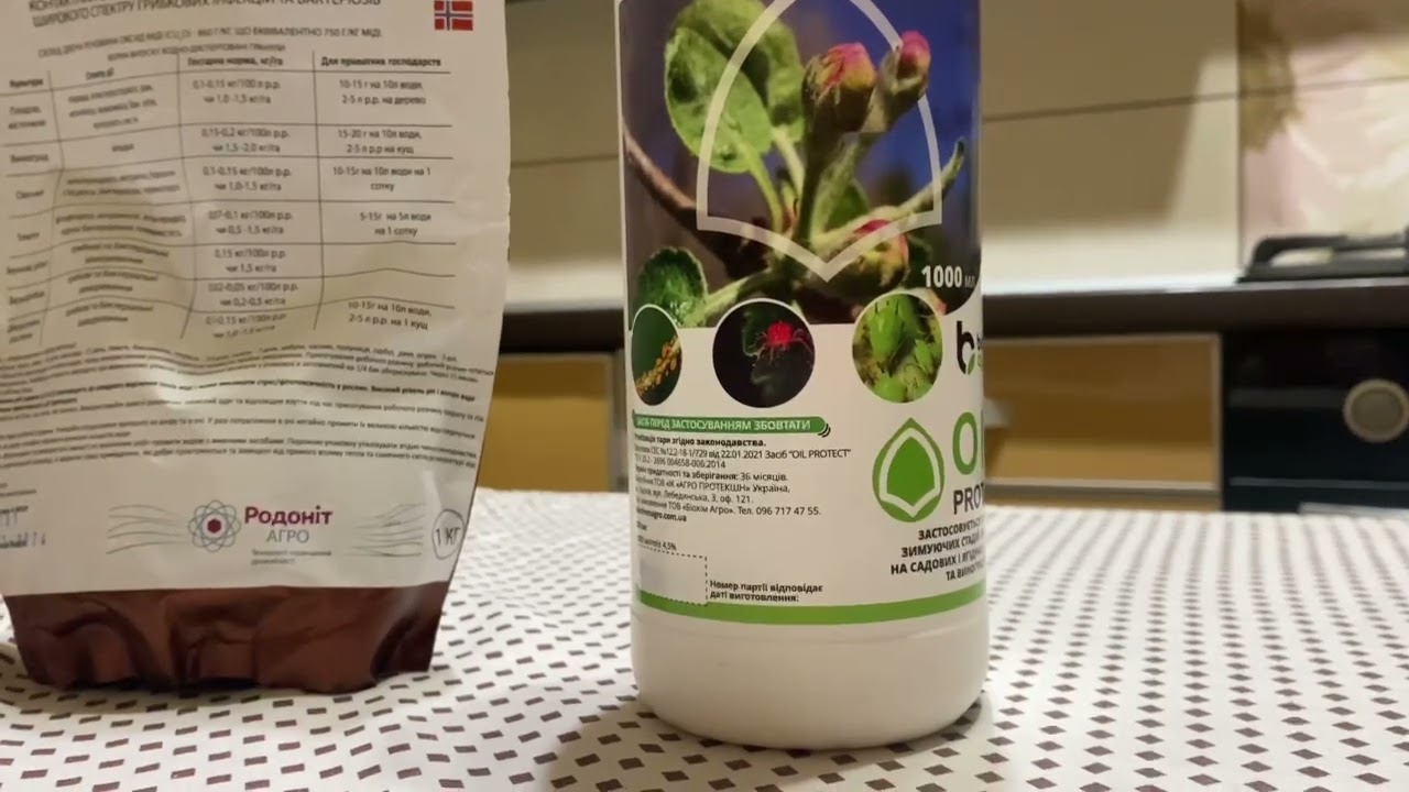 Перший обробіток дерев інсектоакарицидом Оіл Протект і мідьвмісним препаратом Нордекс.