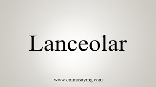 How To Say Lanceolar