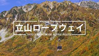 【サボ　愛称板】（表）立 山 TATEYAMA（裏） アルペン ALPINE SPORTIVA(スポルティバ) Trango Alpine GTX (トランゴアルパイン