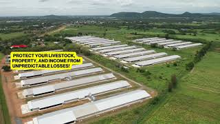 Poultry Farm Insurance in Pocahontas, AR