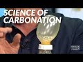 Science of Carbonation