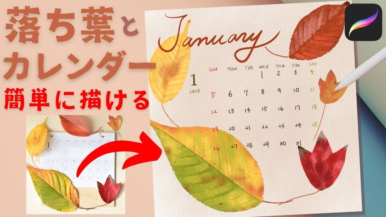 落ち葉とカレンダーを描く🍂Fallen leaves & Calender drawing