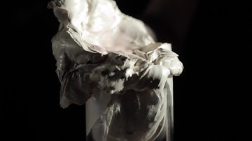 The paste extruder Albert