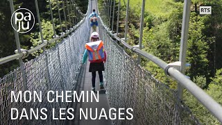 Des Rêves Et Des Câbles, La Magie Des Passerelles Suspendues En Suisse