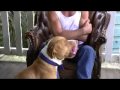 What Can Your Chin Say To Your Dog? の動画、YouTube動画。