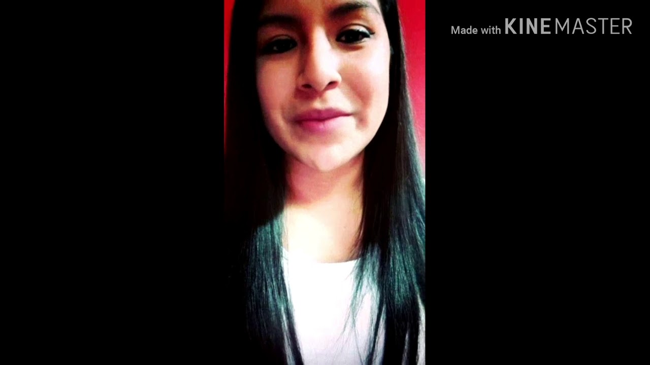 LOS PARTIDOS POLÍTICOS