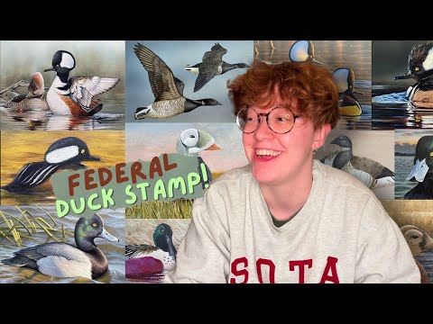 I review EVERY DUCK STAMP entry PT.1 (2024)