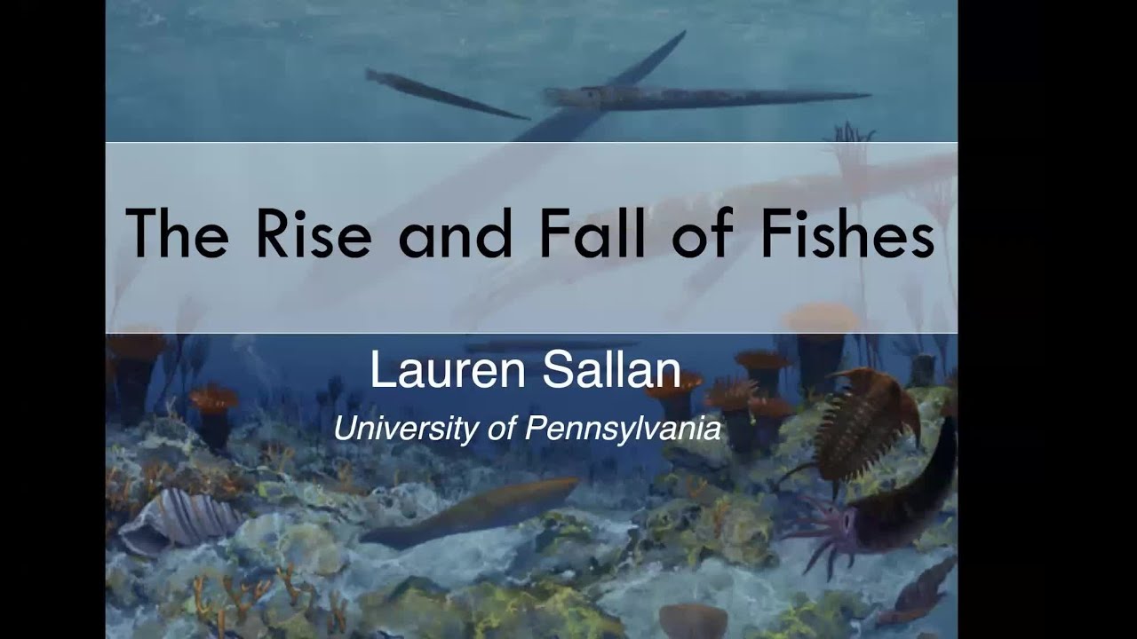 Bodega Marine Laboratory Seminar Series: Dr. Lauren Sallan