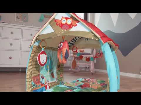 Развивающий коврик Lionelo Agnes