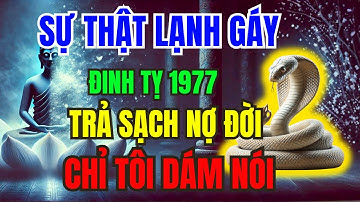 Tuổi Đinh Tỵ 1977 Tu Được 9 Điều Này Trả Hết Nợ Đời, Nợ Người, Nợ Tiền Và Chấm Dứt Khổ Đau!
