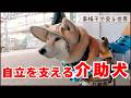 介助犬と電車に乗る。車椅子の自立を支える移動の記録と現状