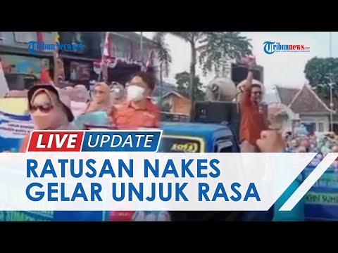 Ratusan Nakes Honorer